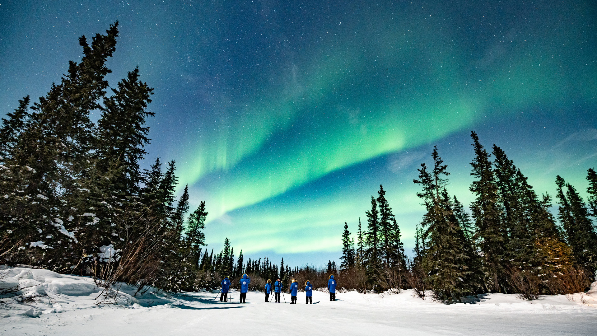 northern lights, aurora borealis, Churchill, Canada